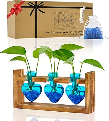 Yeomoo plants vase glass desk decoration bottle garden - ...